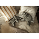 Peluche bouillotte Éléphant | Petite