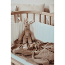 Peluche Lapin Floppy Beige │ Petit