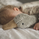 Peluche Oie Bouillotte grise | Grande