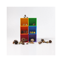 Jeu de Tri et Plateau de Rangement – 6 couleurs