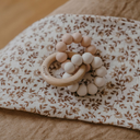 Anneau de dentition - Floraison